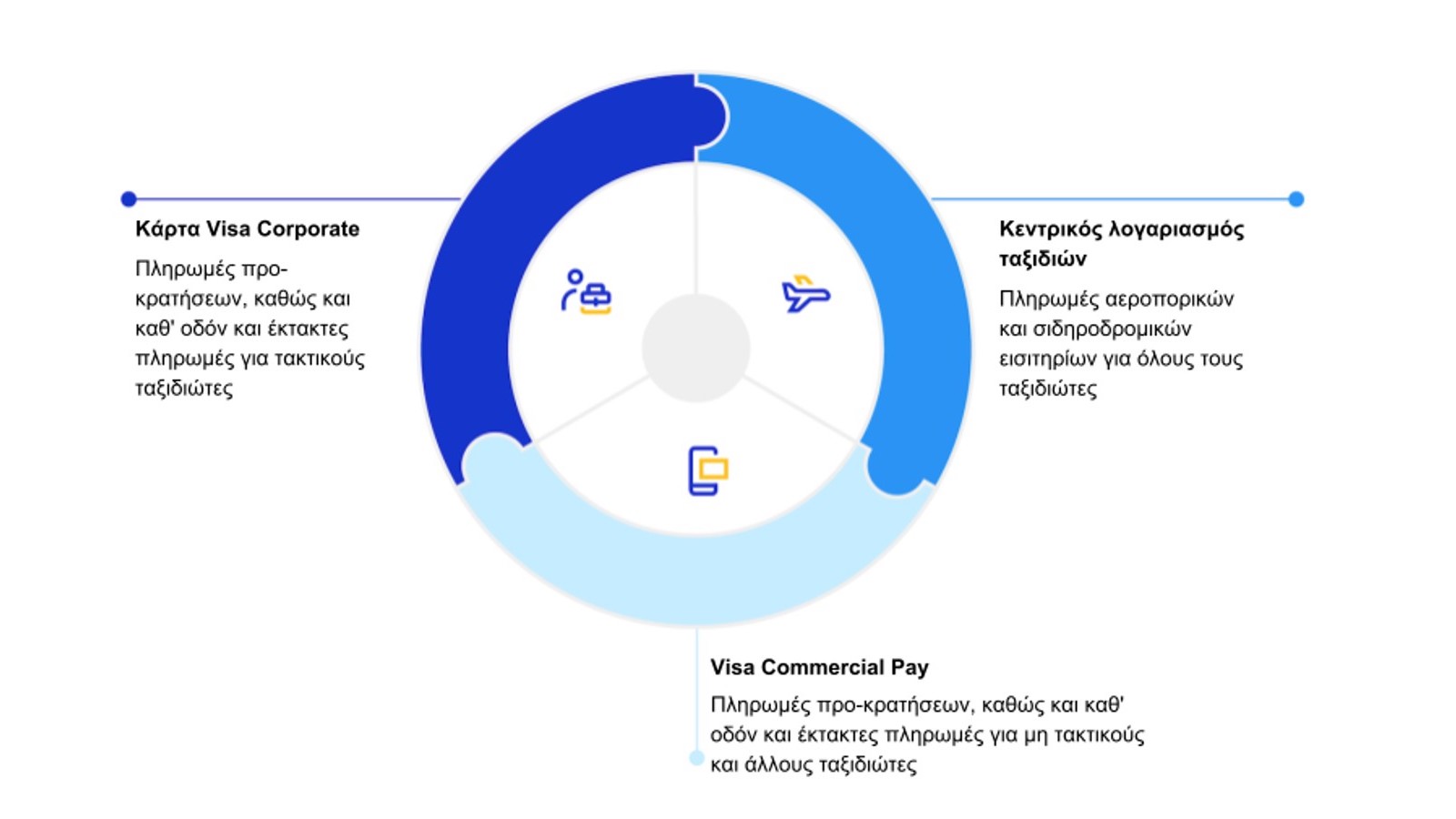 visa pie chart